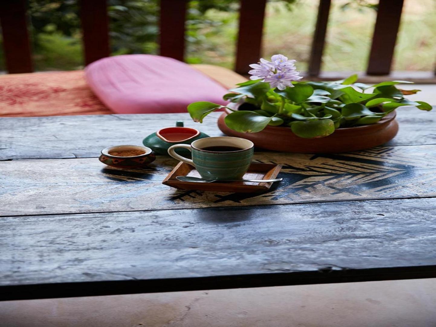 Jamboree Creek Yoga Мандрем Экстерьер фото