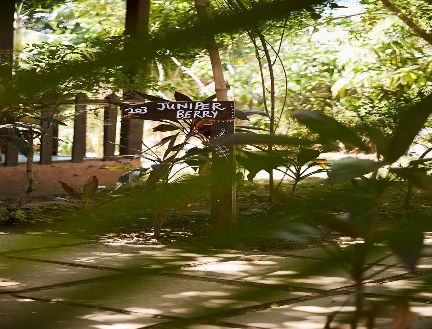 Jamboree Creek Yoga Мандрем Экстерьер фото